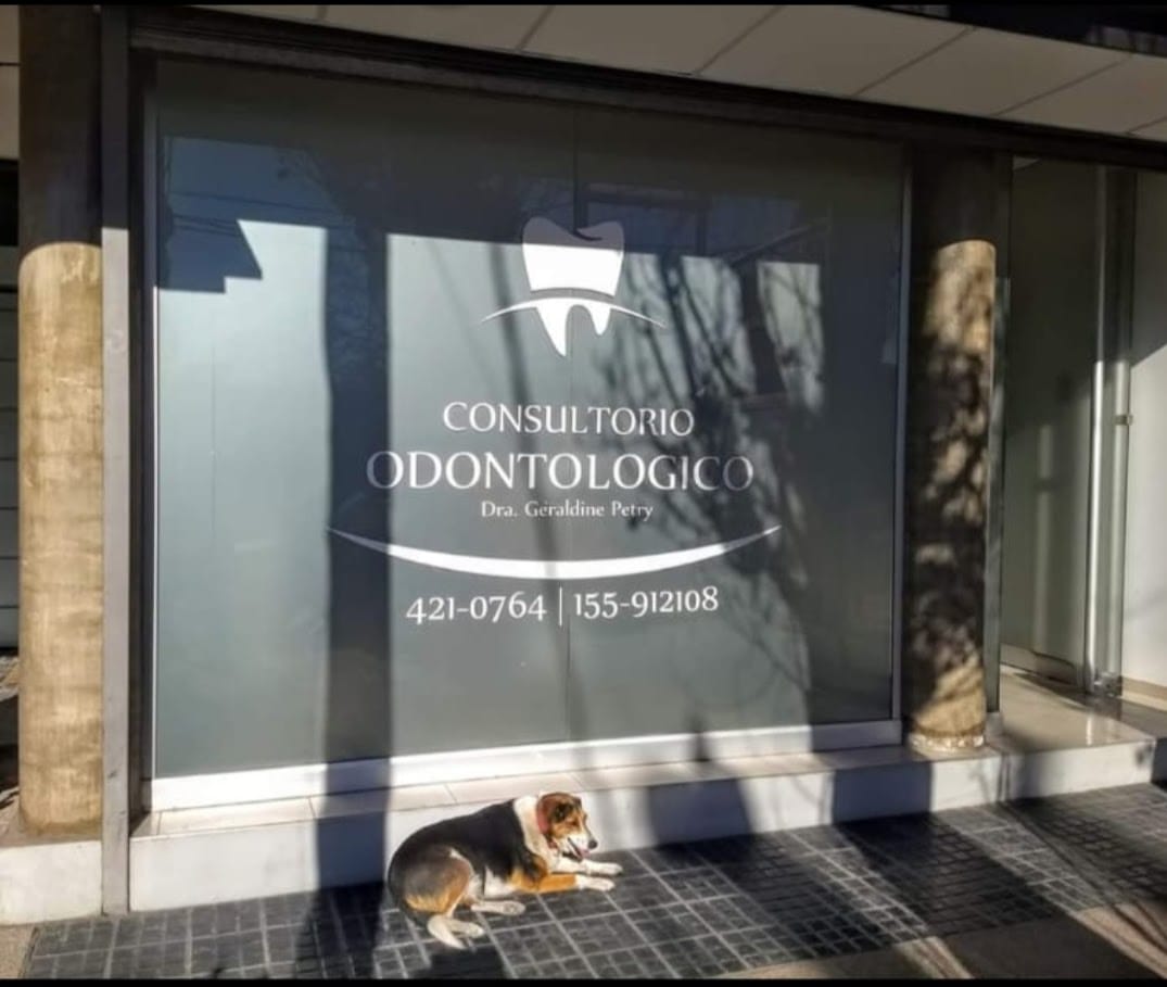 Entrada luminosa del consultorio